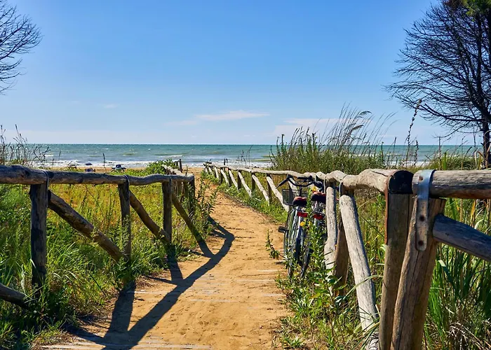 In 24621 * Бібіоне